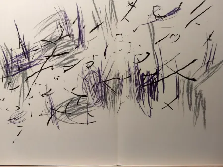 Libro Illustrato Bazaine - DLM 197