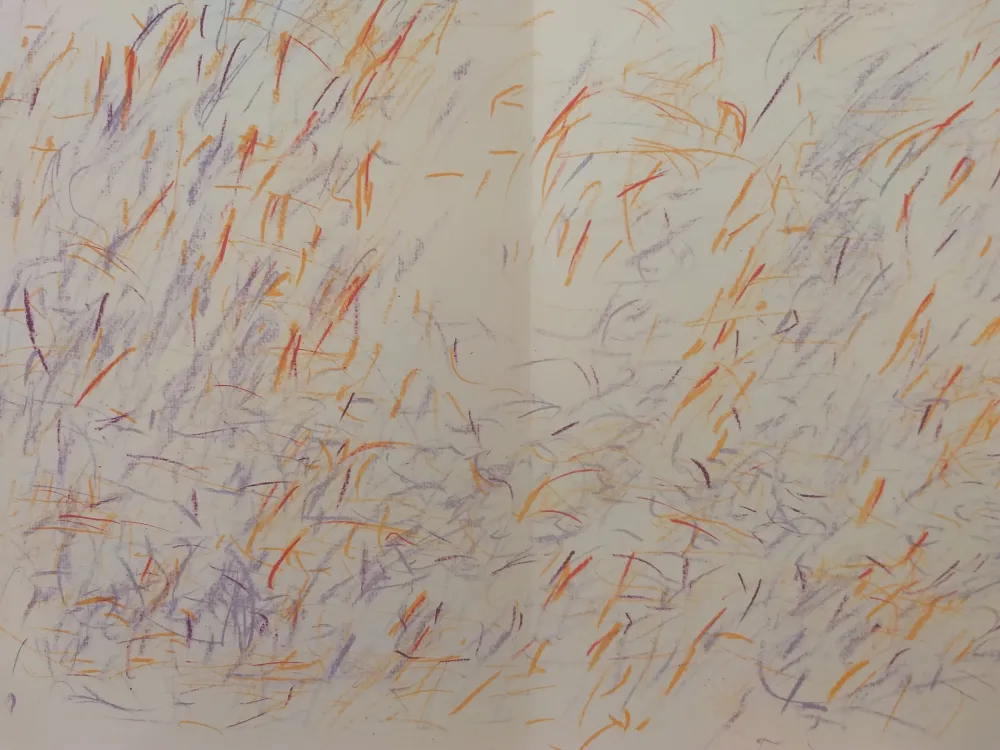 Libro Illustrato Bazaine - Edition Tete DLM 170