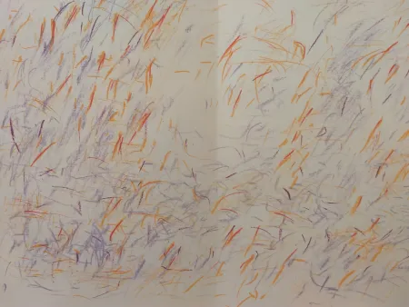 Libro Illustrato Bazaine - Edition Tete DLM 170