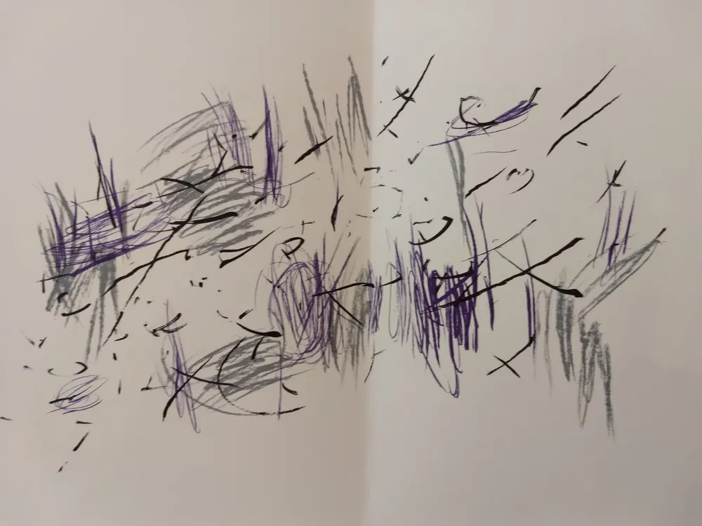 Libro Illustrato Bazaine - Edition Tete DLM 197