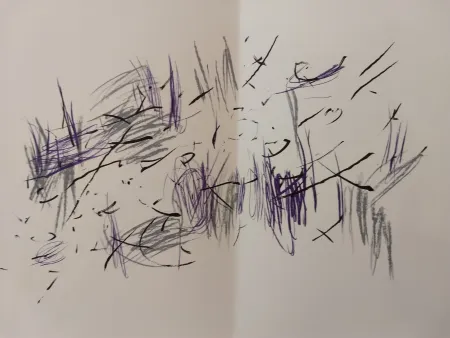 Libro Illustrato Bazaine - Edition Tete DLM 197