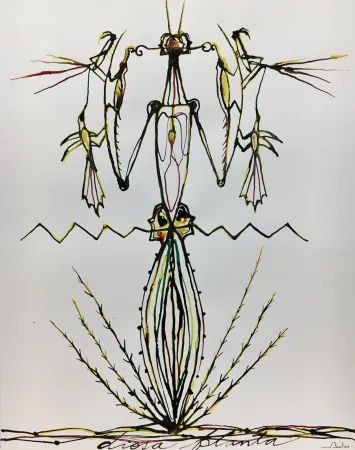 Acquatinta Bedia - Diosa Planta