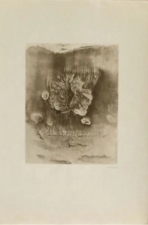 Incisione Bellmer -  Entre deux eaux