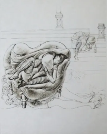 Acquaforte E Acquatinta Bellmer - Initiation à la sexualité