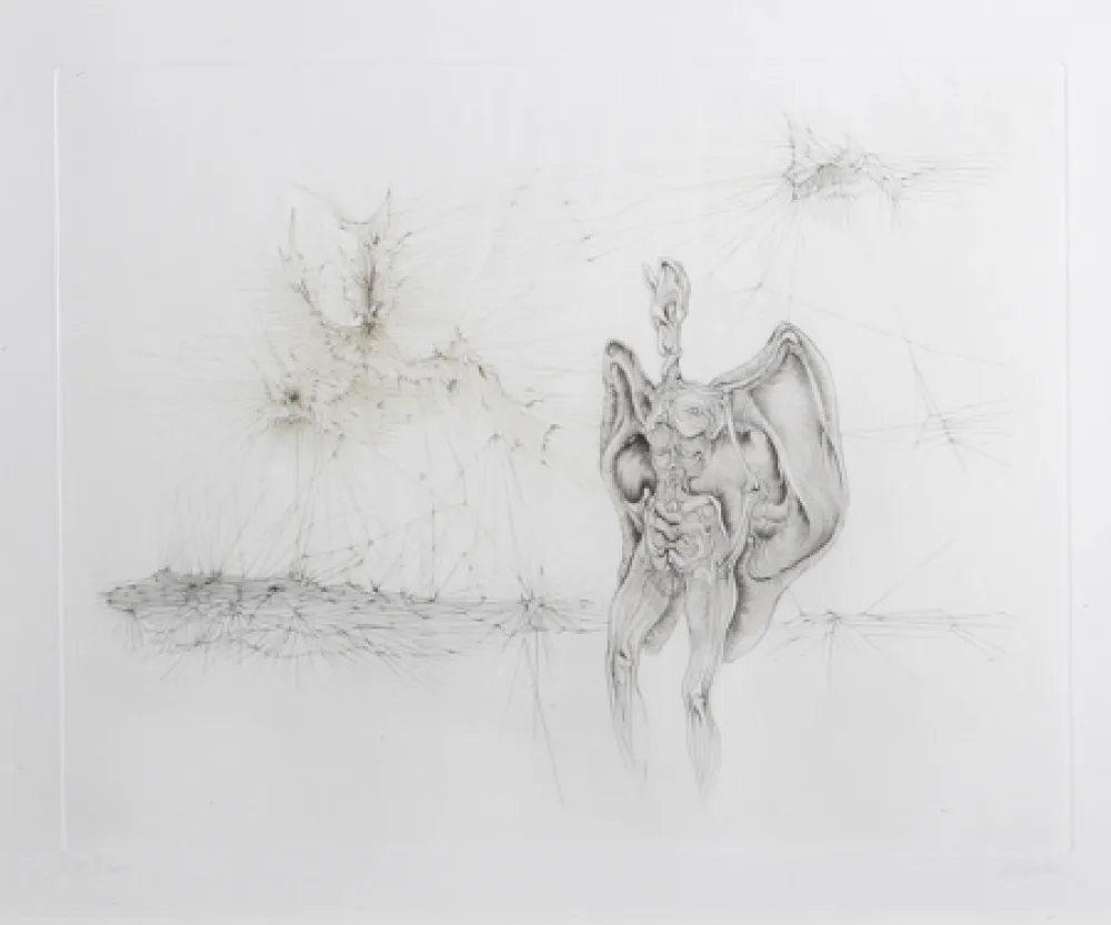 Incisione Bellmer - La Chauve-Souris