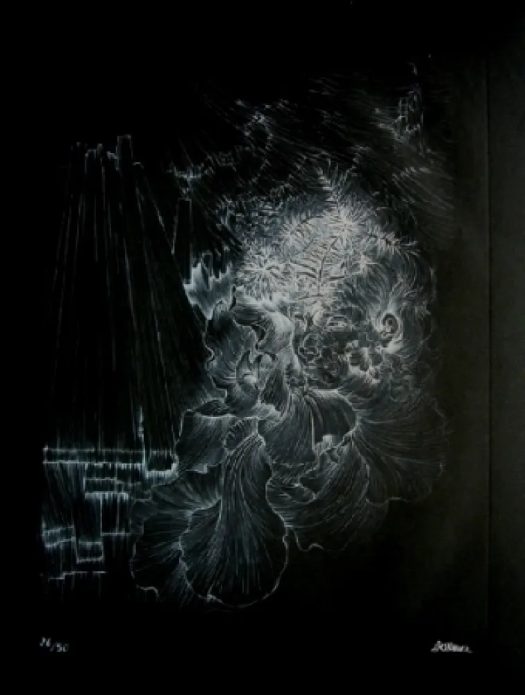 Acquaforte E Acquatinta Bellmer - La danseuse