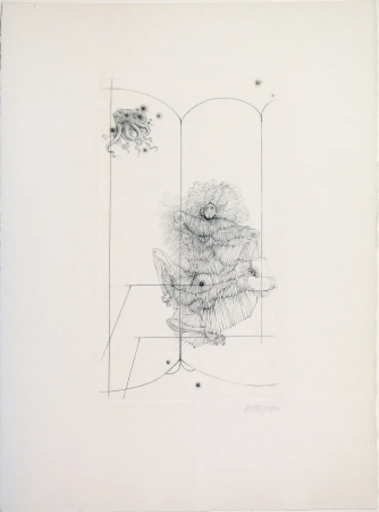 Punta Secca Bellmer - Octopus from 