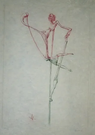 Acquaforte E Acquatinta Bellmer - Oeillades ciselées 7