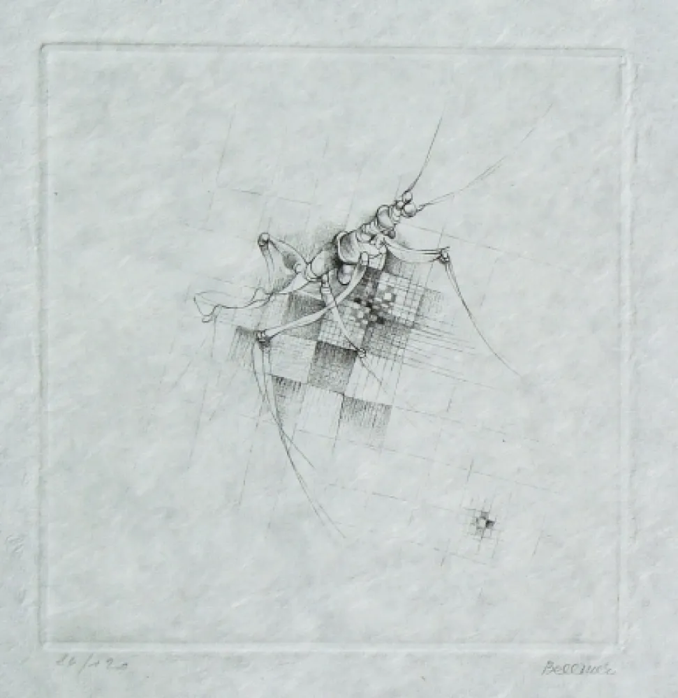 Punta Secca Bellmer - Oracles et Spectacles