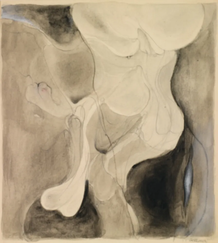 Non Tecnico Bellmer - Sans titre