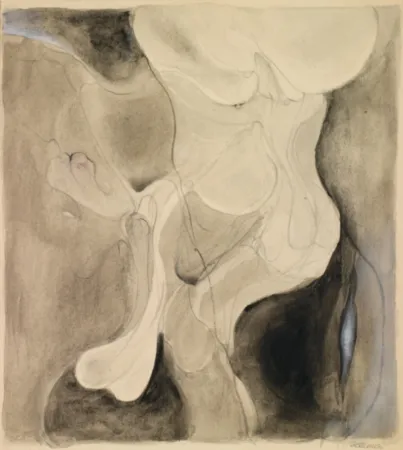 Non Tecnico Bellmer - Sans titre