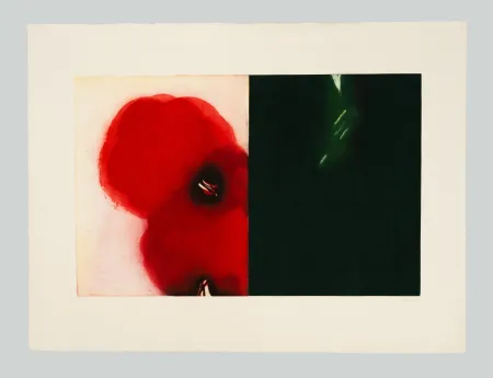 Acquaforte E Acquatinta Benati - Affiora