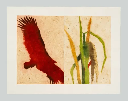 Acquaforte E Acquatinta Benati - Baia California