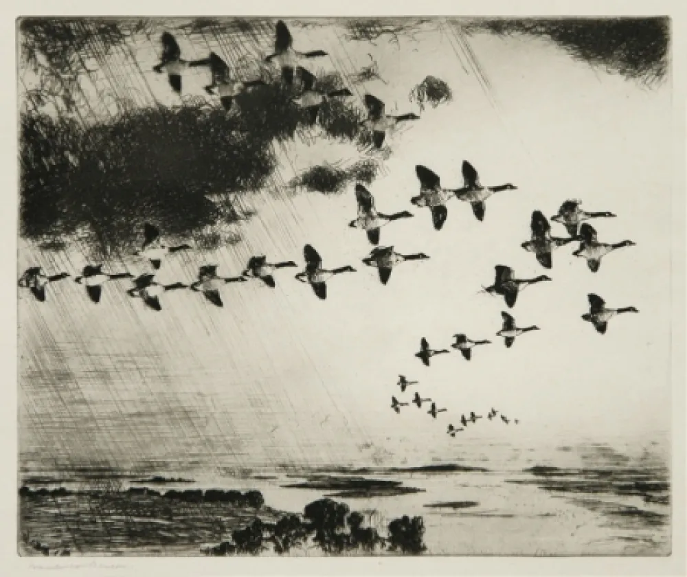 Acquaforte Benson - The Long Journey