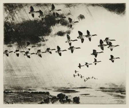 Acquaforte Benson - The Long Journey