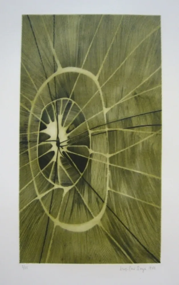 Incisione Berge - Soleil 1962