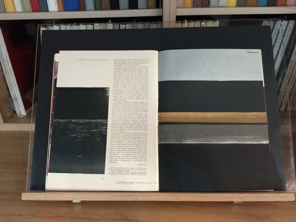 Libro Illustrato Bergman - No 35