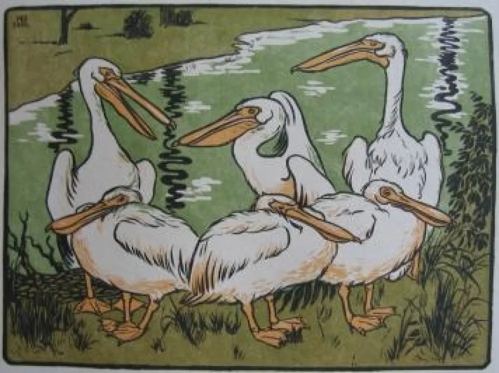 Incisione Su Legno Berthold - Pelikane