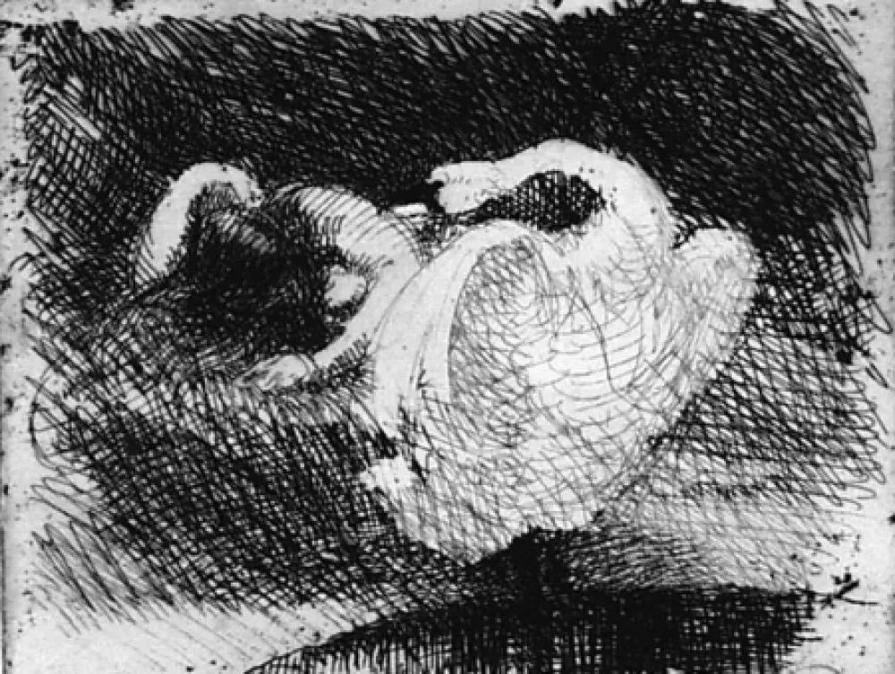 Acquaforte Besnard - Léda s'endort