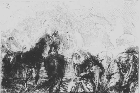 Acquaforte Besnard - Marché aux chevaux a Mainson Carré - Algérie