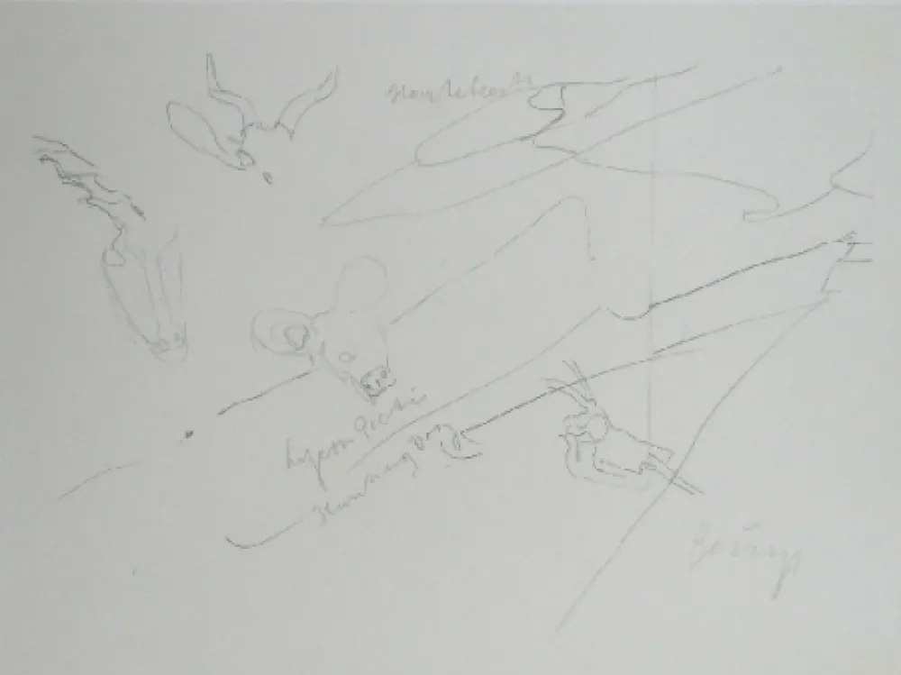 Litografia Beuys - Codices Madrid 9