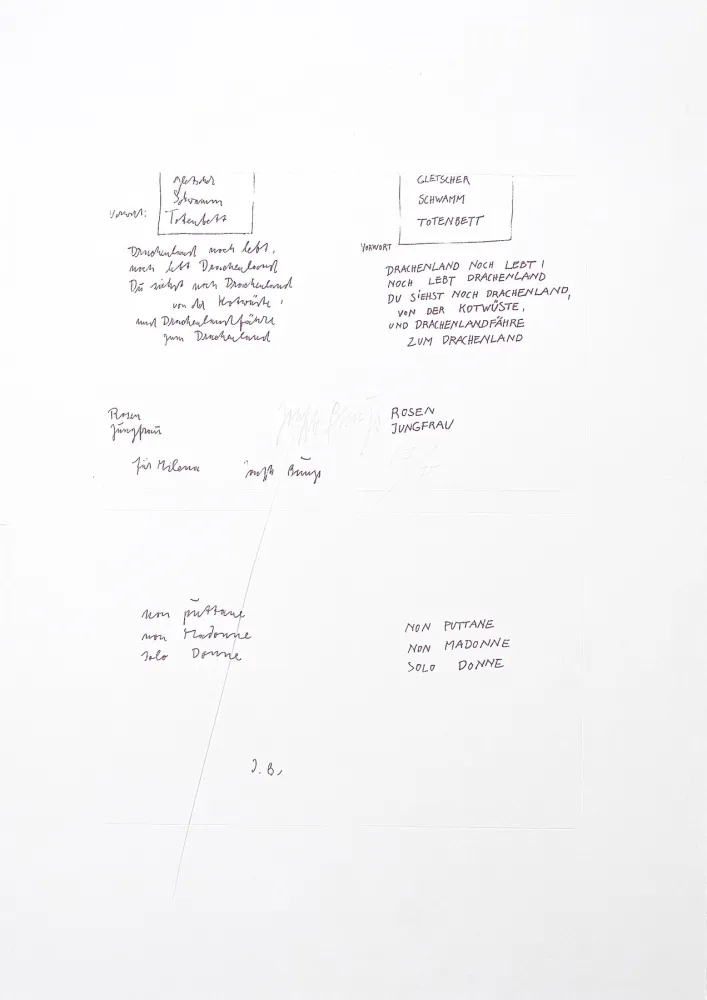 Incisione Beuys - Untitled (Gletscher Schwamm Totenbett)