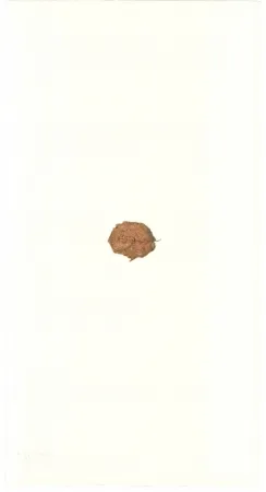 Litografia Beuys - Zirkulationszeit: Bär  Museumsausgabe