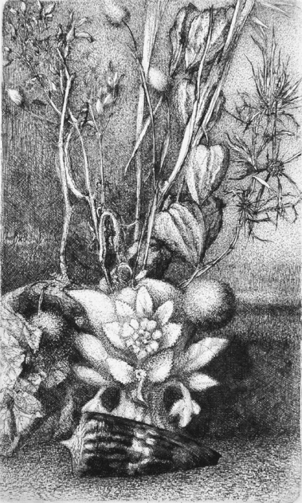 Acquaforte Bianchi Barriviera - Natura morta