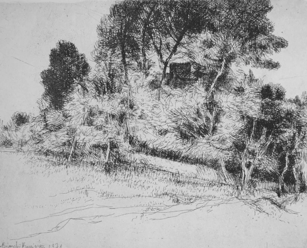 Acquaforte Bianchi Barriviera - Paesaggio alla via Nomentana