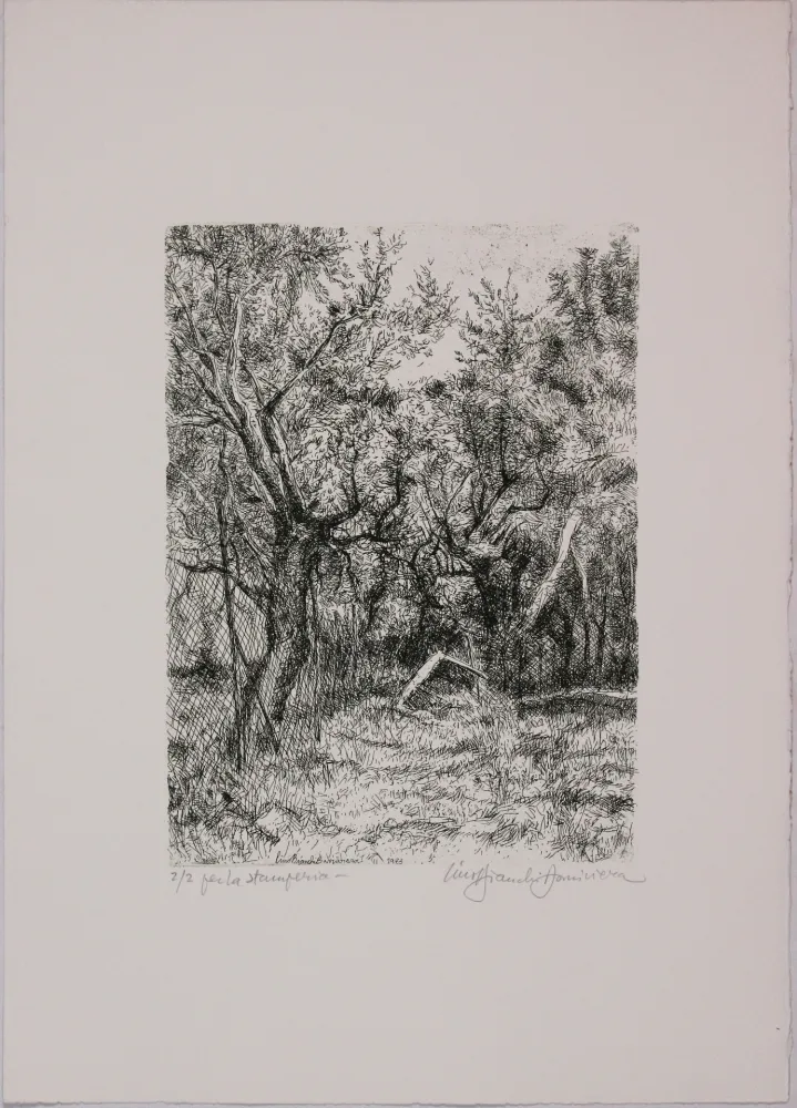 Acquaforte Bianchi Barriviera - Untitled