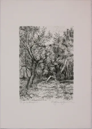 Acquaforte Bianchi Barriviera - Untitled