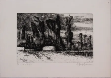 Acquaforte Bianchi Barriviera - Untitled