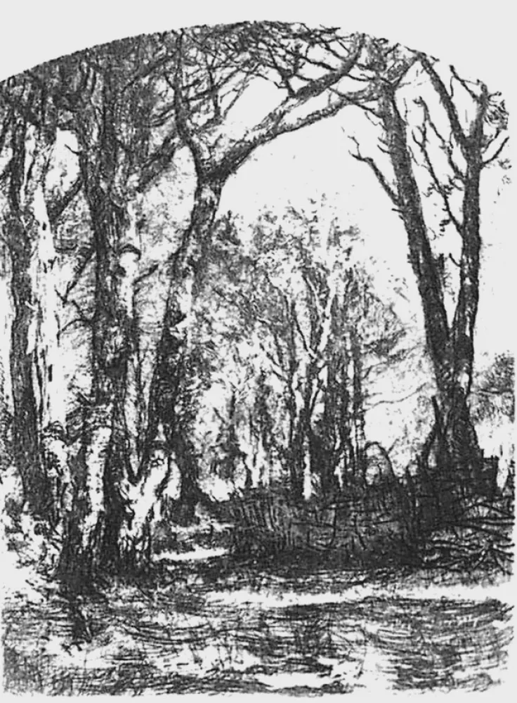 Acquaforte Bianchi - Il bosco