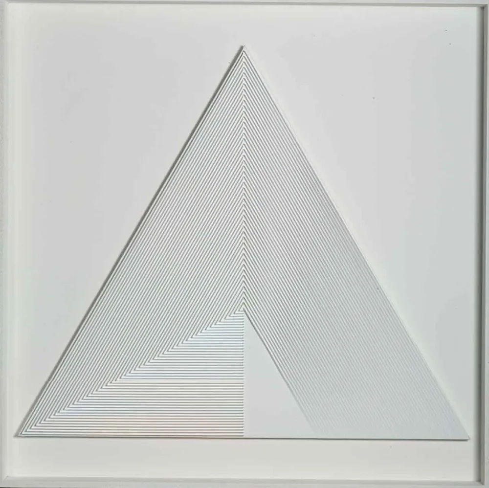 Non Tecnico Biasi - POLITIPO TRIANGOLARE