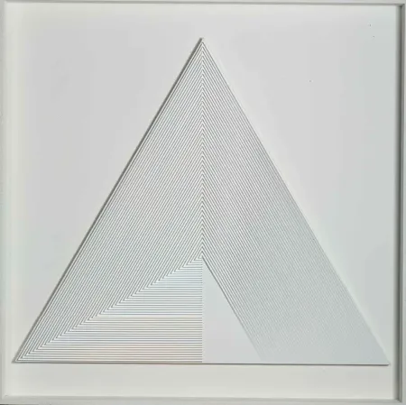 Non Tecnico Biasi - POLITIPO TRIANGOLARE