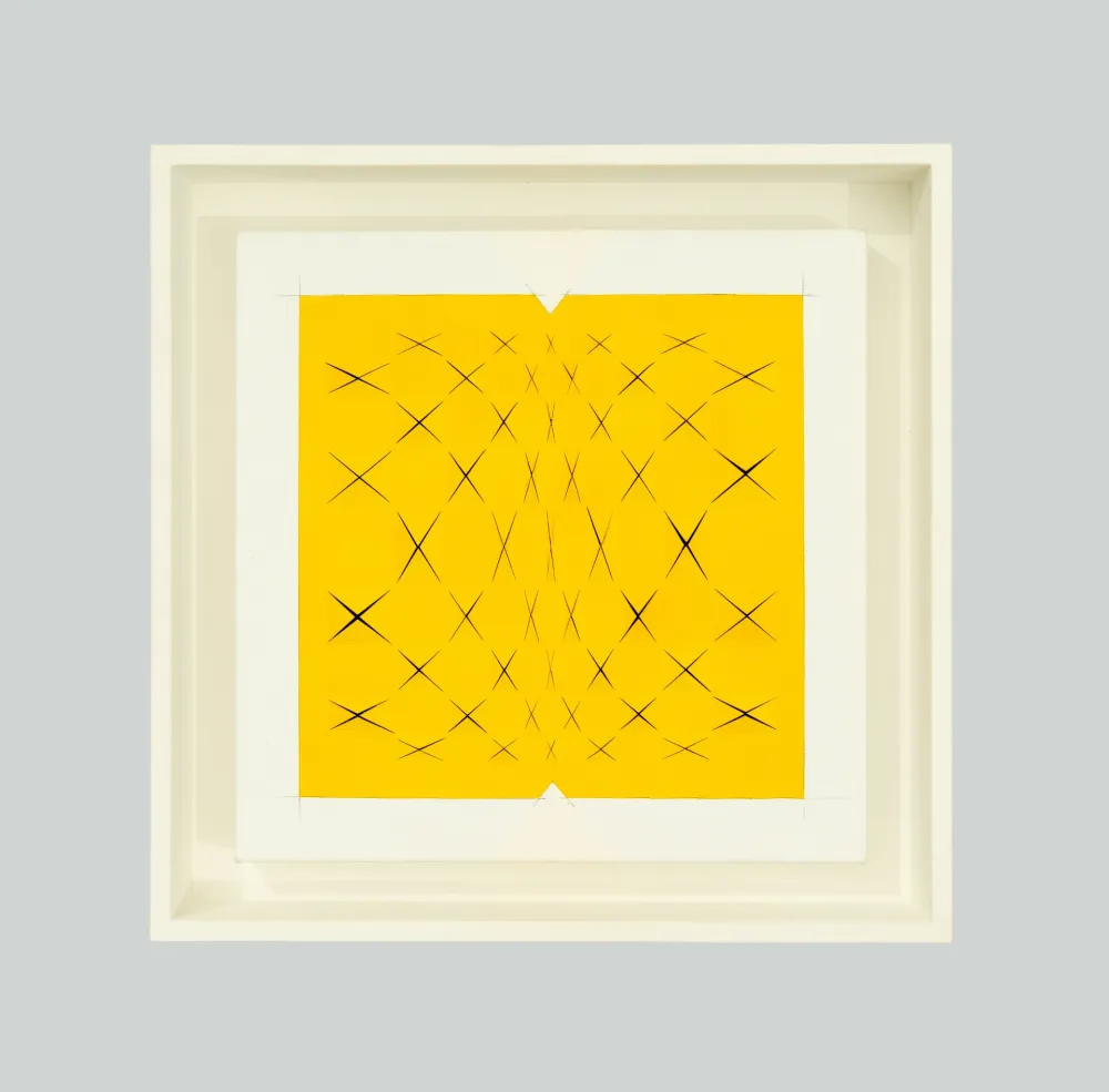 Non Tecnico Biasi - Spazio papale