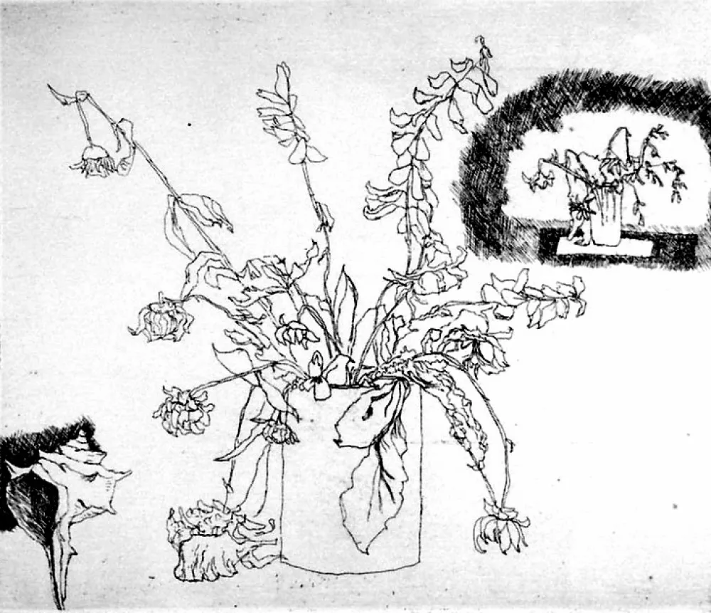 Acquaforte Biasion - Fiori secchi e conchiglia