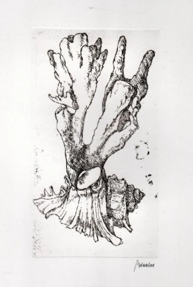 Libro Illustrato Biasion - Venezia lontana