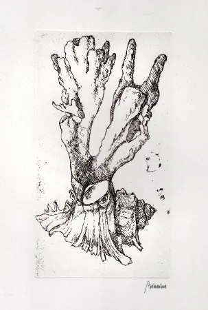 Libro Illustrato Biasion - Venezia lontana