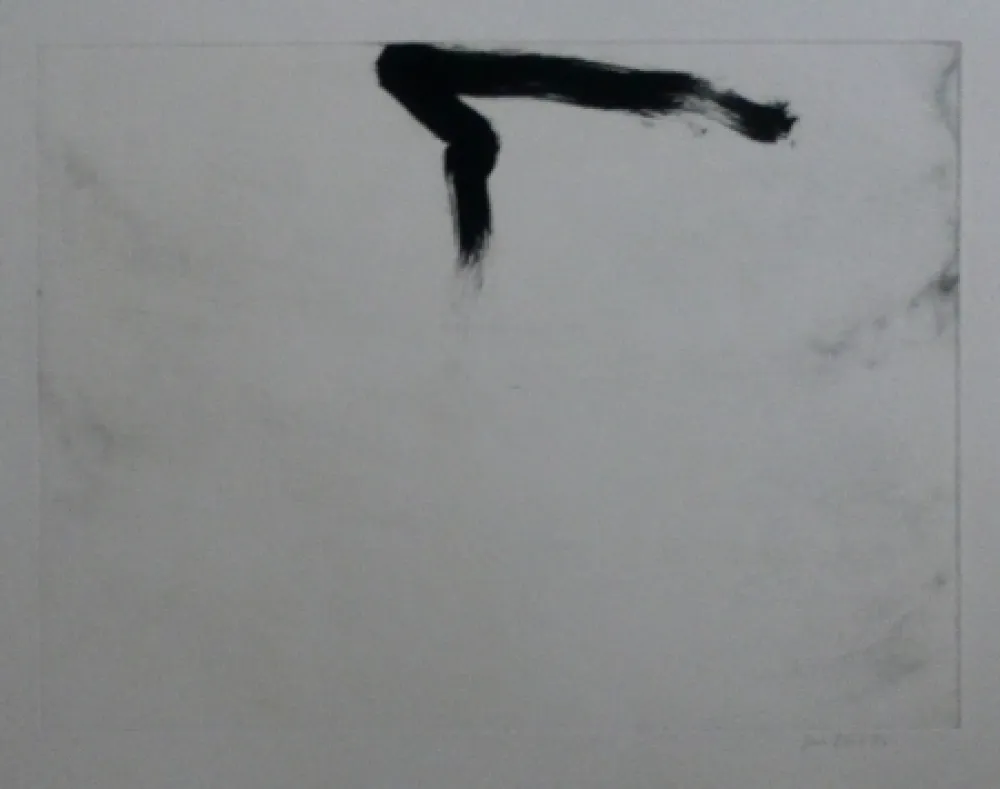 Acquaforte E Acquatinta Bird - Abstract 11