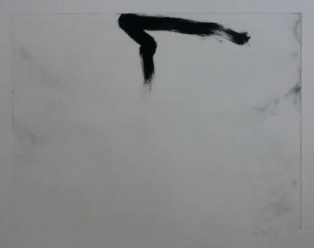 Acquaforte E Acquatinta Bird - Abstract 11