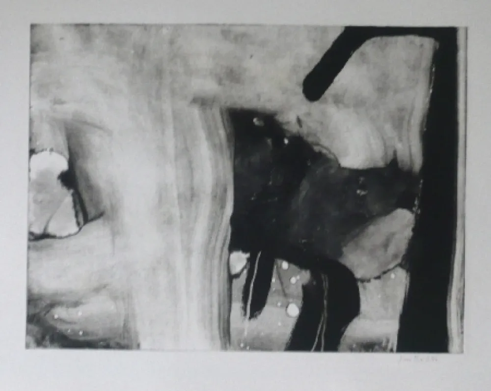 Acquaforte E Acquatinta Bird - Abstract 4