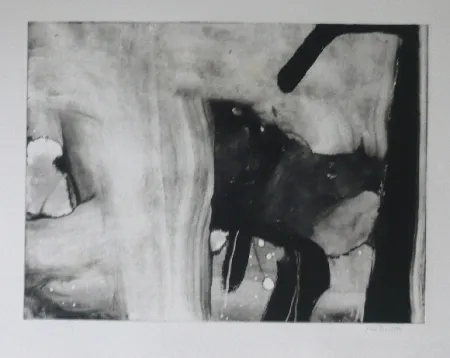 Acquaforte E Acquatinta Bird - Abstract 4