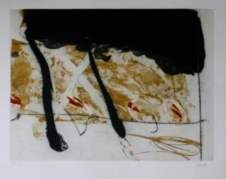 Acquaforte E Acquatinta Bird - Abstract 8