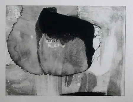 Acquaforte E Acquatinta Bird - Abstract 9