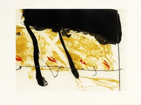 Acquaforte E Acquatinta Bird - Coach of black  water