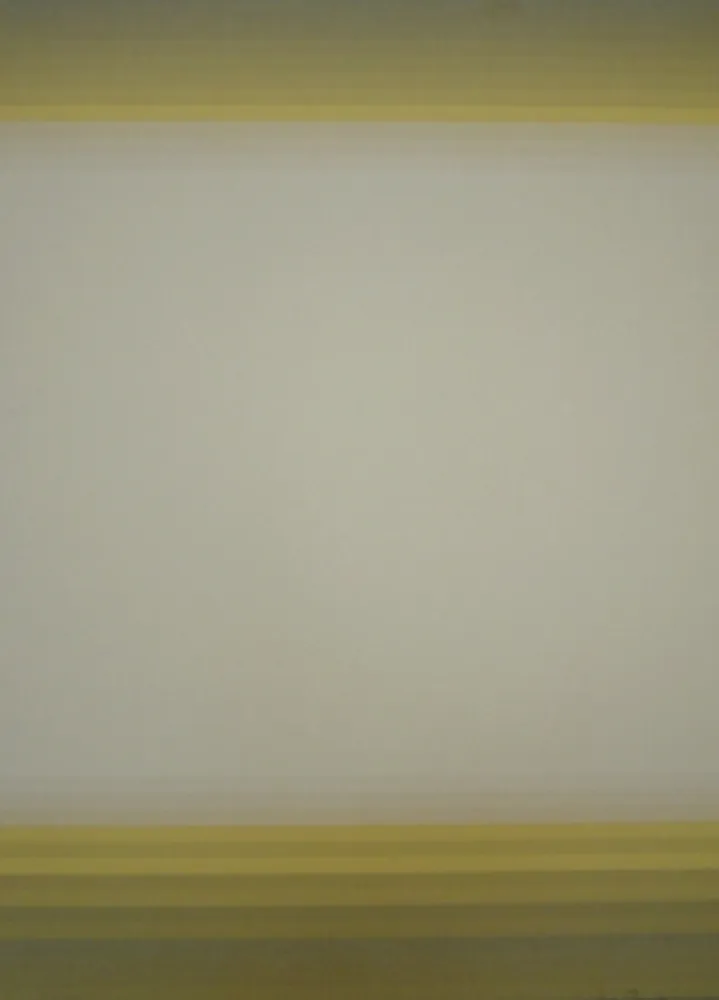 Litografia Bird - J.B.I. - 10