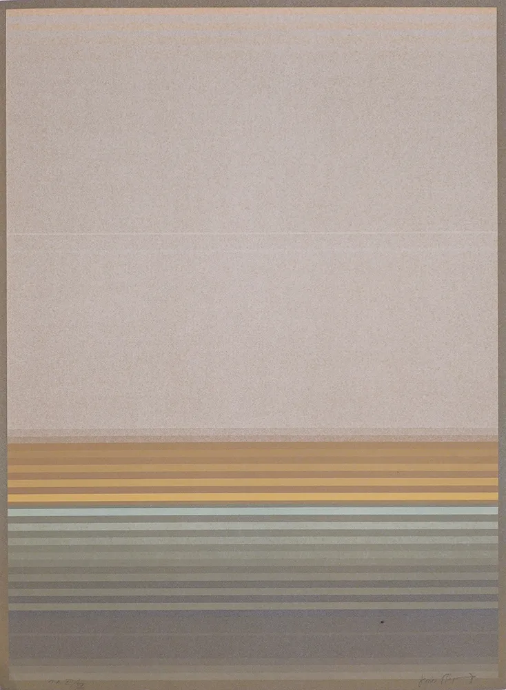 Libro Illustrato Bird - J.B.I. - 2