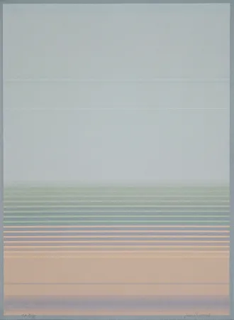 Litografia Bird - J.B.I. - 8