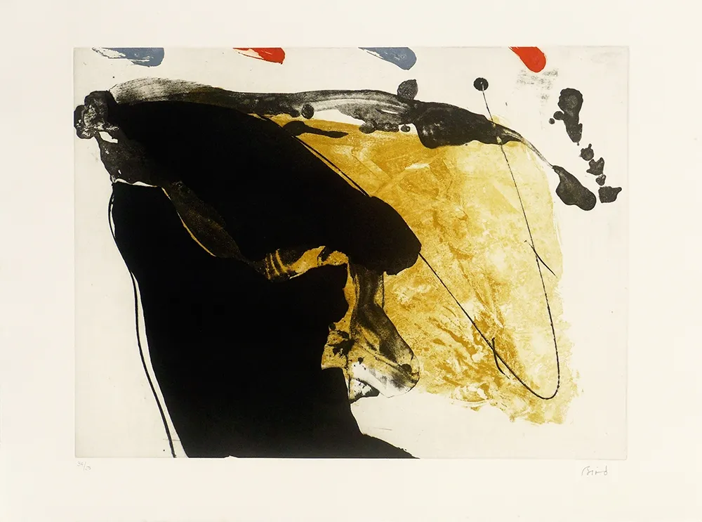 Incisione Bird - Red top